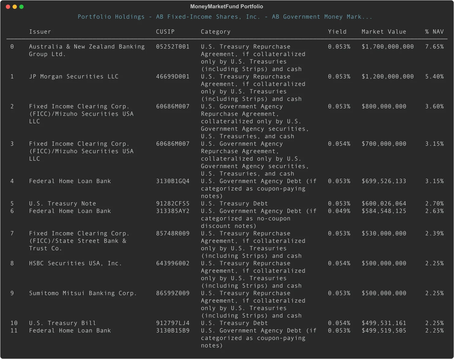 Money market fund portfolio holdings table